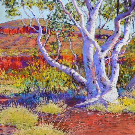 Shirley Fisher - 'Dales Gorge Snappy Gums'