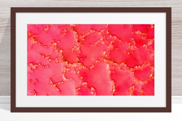 001 - Jason Mazur - 'Pink Lake, Port Gregory' Dark Frame