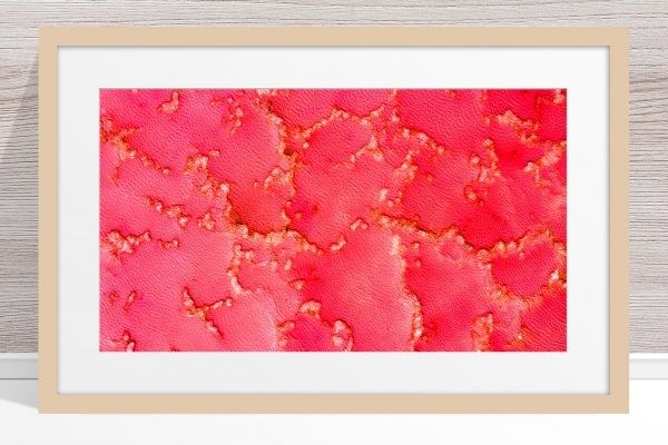 001 - Jason Mazur - 'Pink Lake, Port Gregory' Light Frame