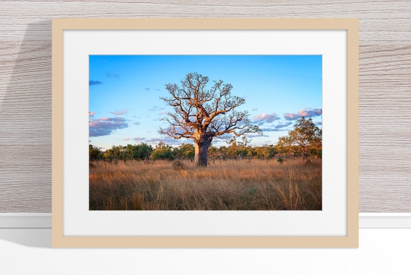 Jason Mazur - 'Boab Tree, Kimberley 032' Light Wood Frame