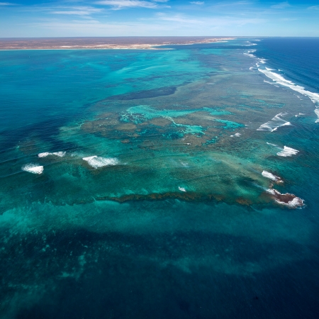 Jason Mazur - 'Ningaloo Reef, Coral Bay 014'