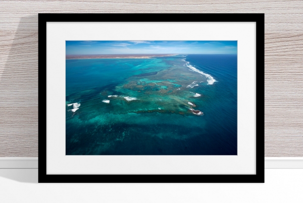 Jason Mazur - 'Ningaloo Reef, Coral Bay 014' Black Frame