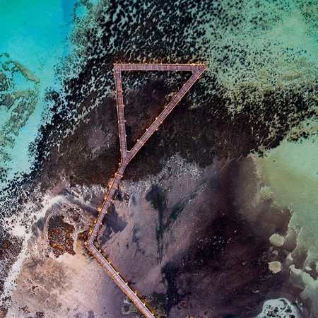 Jason Mazur - 'Stromatolites, Hamelin Pool, Shark Bay 885'