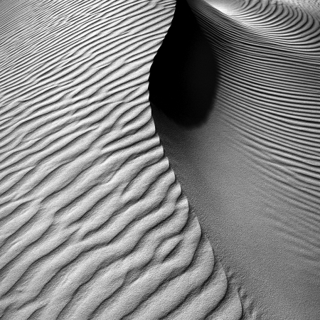 Sand Lines, South Western Australia