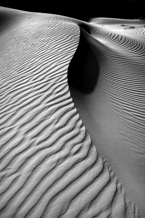 Sand Lines, South Western Australia