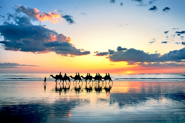 Camel Train, Cable Beach, Broome